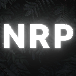 Bild vom Nigth-Rp-Logo